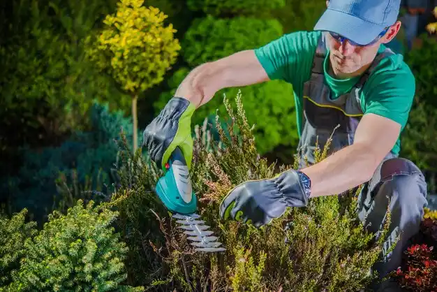 landscaping services Humphrey